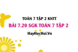 Bài 7.20 SGK Toán 7 tập 2 Kết nối tri thức